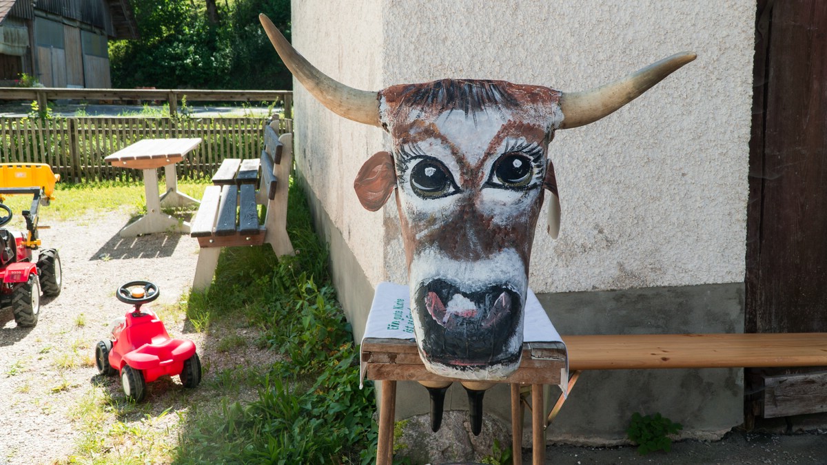O Fotomagazin / AEGIDI KIRTAG 2016 in Spital am Pyhrn 